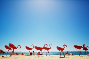 Wendi Zhang, mi no5, Sculpture by the Sea, Cottesloe 1. Jarrad Seng.