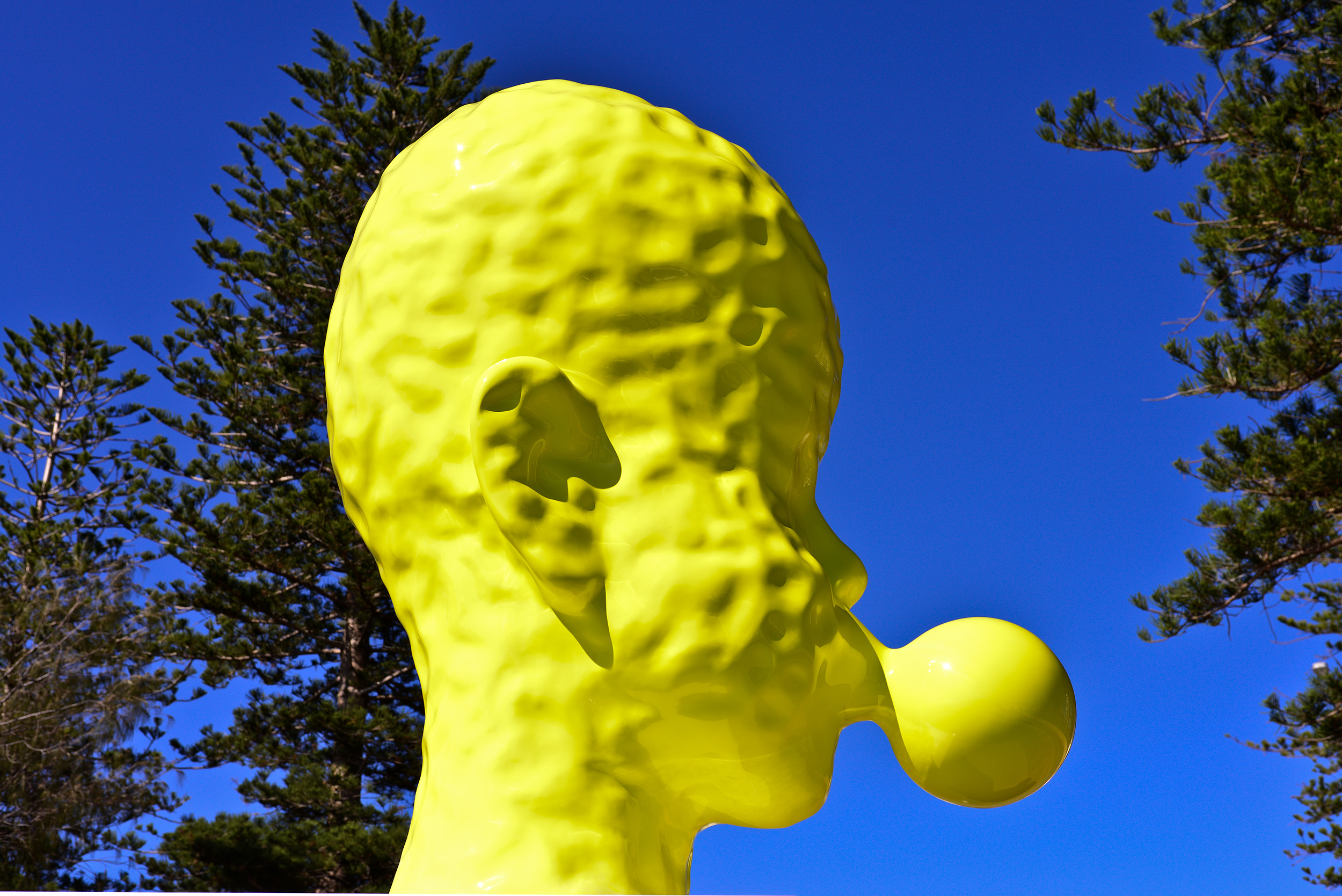 Qian Sihua Bubble No.7, Sculpture by the Sea, Cottesloe 2016. Photo Clyde Yee