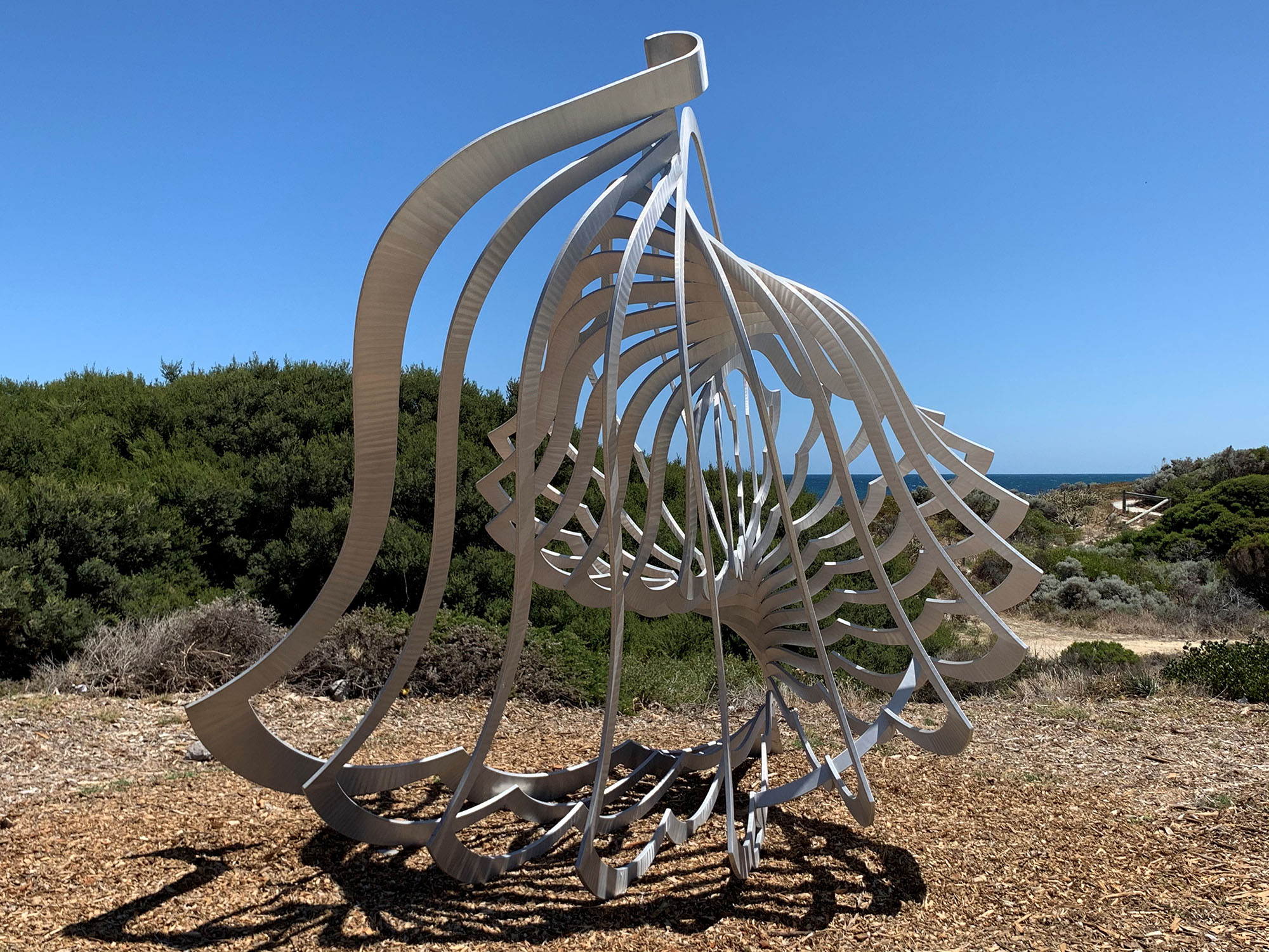 She Sells Sea Shells joins the Cottesloe Collection: - Sculpture by the Sea