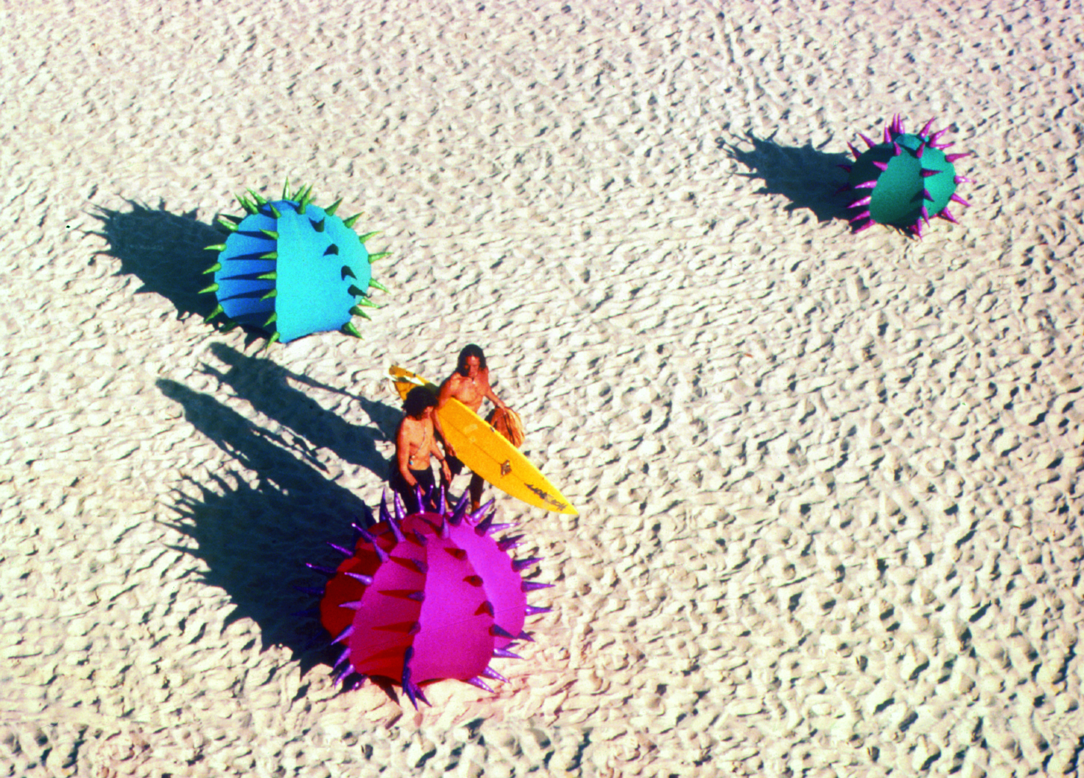 Celebrating 30 Years of Sculpture by the Sea!